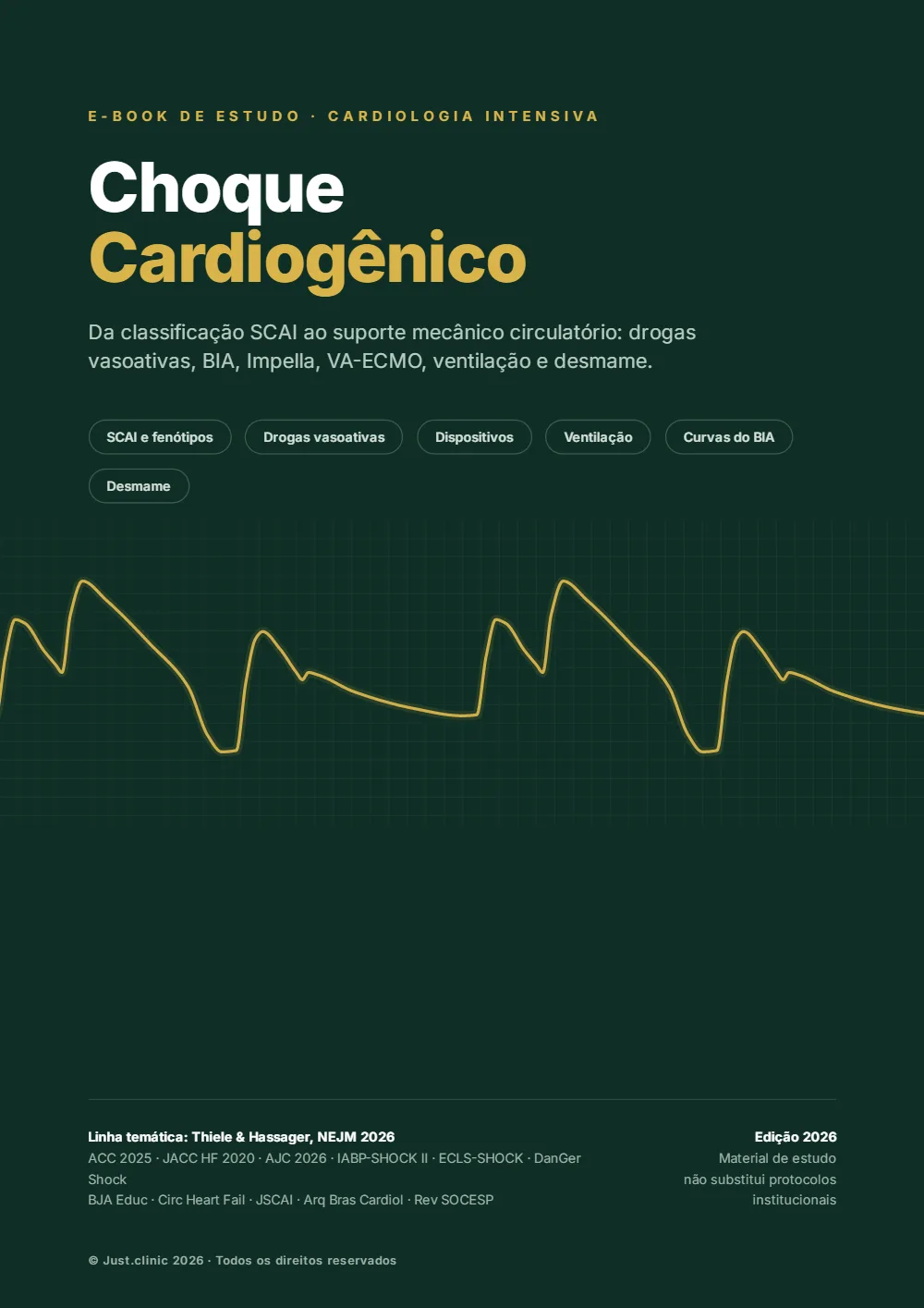 Capa do e-book Choque cardiogênico e balão intra-aórtico: Da classificação SCAI ao suporte mecânico circulatório: drogas vasoativas, balão intra-aórtico, Impella, VA-ECMO, ventilação e desmame.